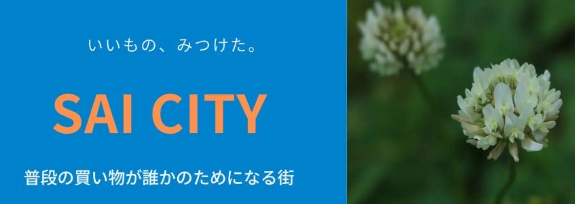 いいもの、みつけた